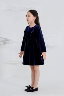 轻巧礼服装 一本正经的精致小孩